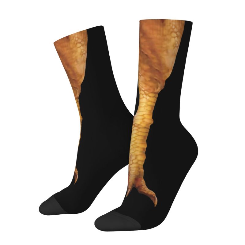 Мужские носки с куриными лапам – обзор и цена Dress Sock Men